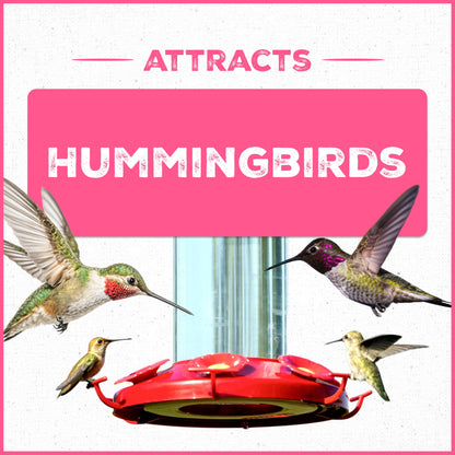 Pennington 100543828 ElectroNectar Hummingbird Food Ready to Use, Clear