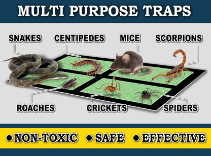 MaxGuard Mini Glue Traps (48 Traps) Non-Toxic Extra Sticky Glue Board Pre-Baited with Fruity Scent Attractant Trap & Kill Insects, Bugs, Spiders, Crickets, Scorpions, Cockroaches, Centipedes, Mice