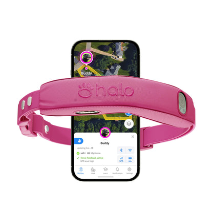 Halo Collar 4, All New GPS Wireless Dog Fence & Dog Training Collar with GPS Tracker, Subscription Required, Waterproof, One Size, Orchid