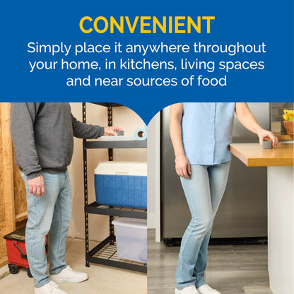 Hot Shot Flying Insect Trap, Discreet, Trap Attracts and Captures House Flies and Fruit Flies, 24/7 Continuous Attraction, No Plug-in Or Electricity Needed, 6 Count