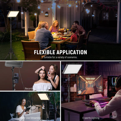 NEEWER Basics 2Pcs LED Video Light Panel with 59'' Tripod Stands/Phone Holders, 2700-6500K 850Lux Dimmable Plastic Studio Lighting for Photography Filming Recording Live Streaming, No Adapter, BP300