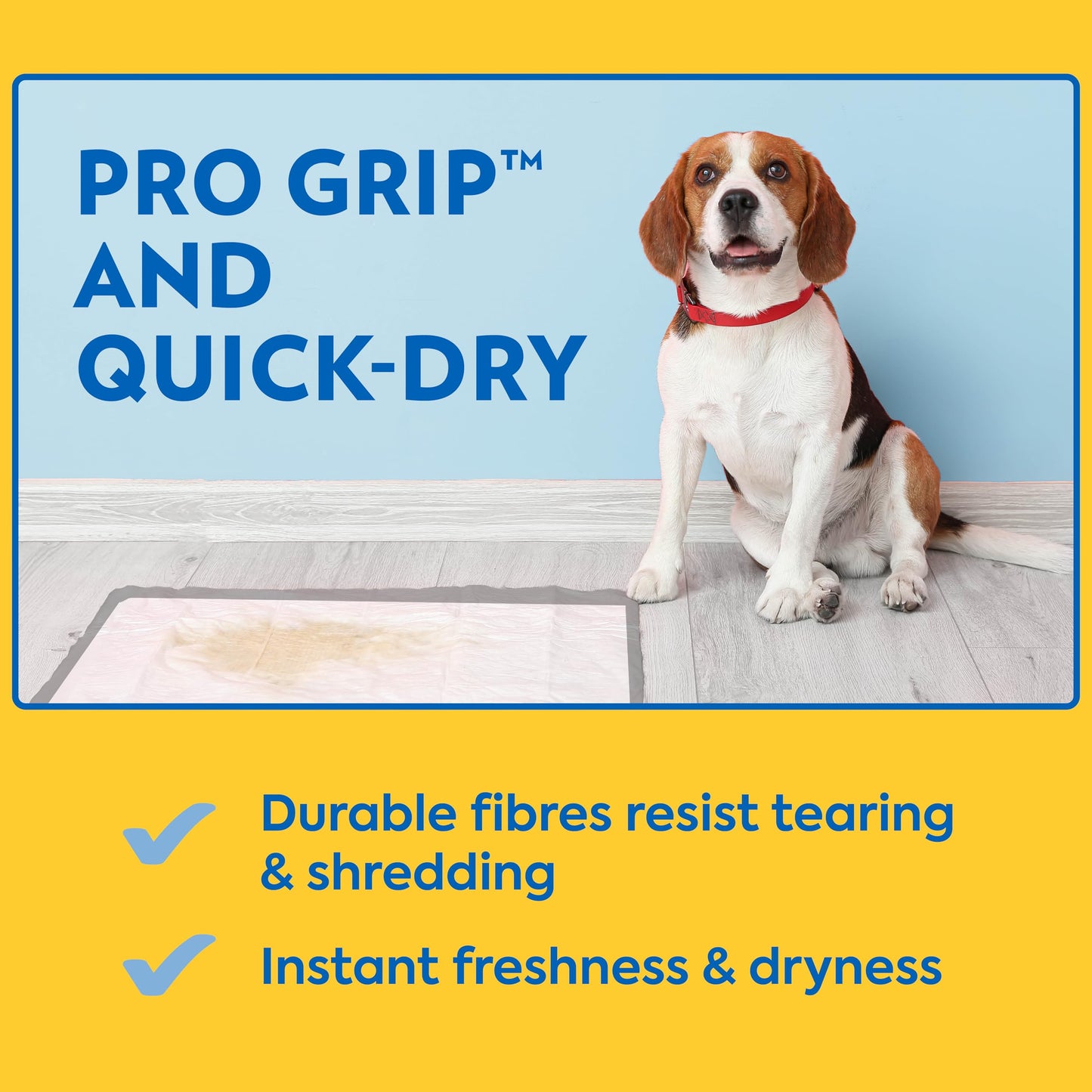 OUT! Petcare Puppy Pads XXL, Heavy Duty, Leak Proof Pee Pads for Dogs, Potty Training & Housebreaking, Puppy Essentials (26"x30", 30 Count)