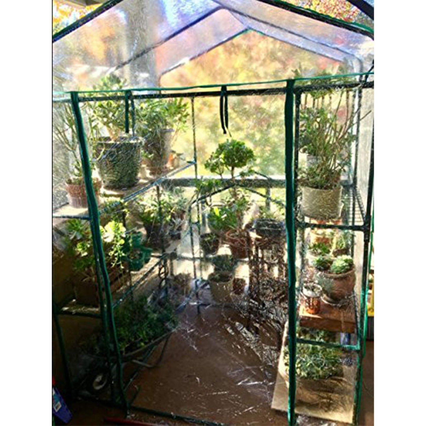 Home-Complete 514537FXW Walk-in Greenhouse-Indoor Outdoor with 8 Sturdy Shelves-Grow Plants, Seedlings, Herbs, or Flowers in Any Season-Gardening Rack, Green