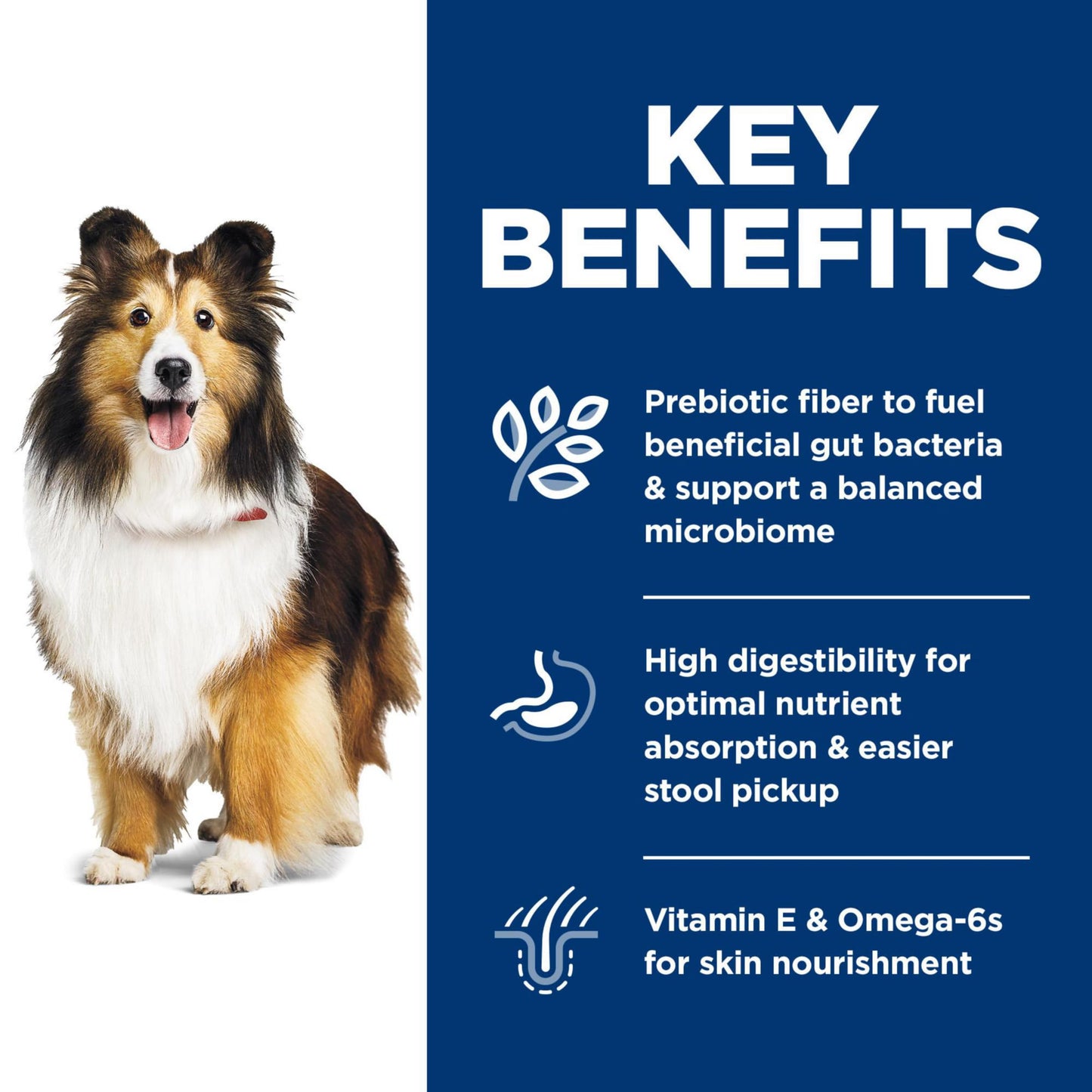 Hill's Science Diet Sensitive Stomach & Skin, Adult 1-6, Stomach & Skin Sensitivity Support, Dry Dog Food, Chicken Recipe, 30 lb Bag