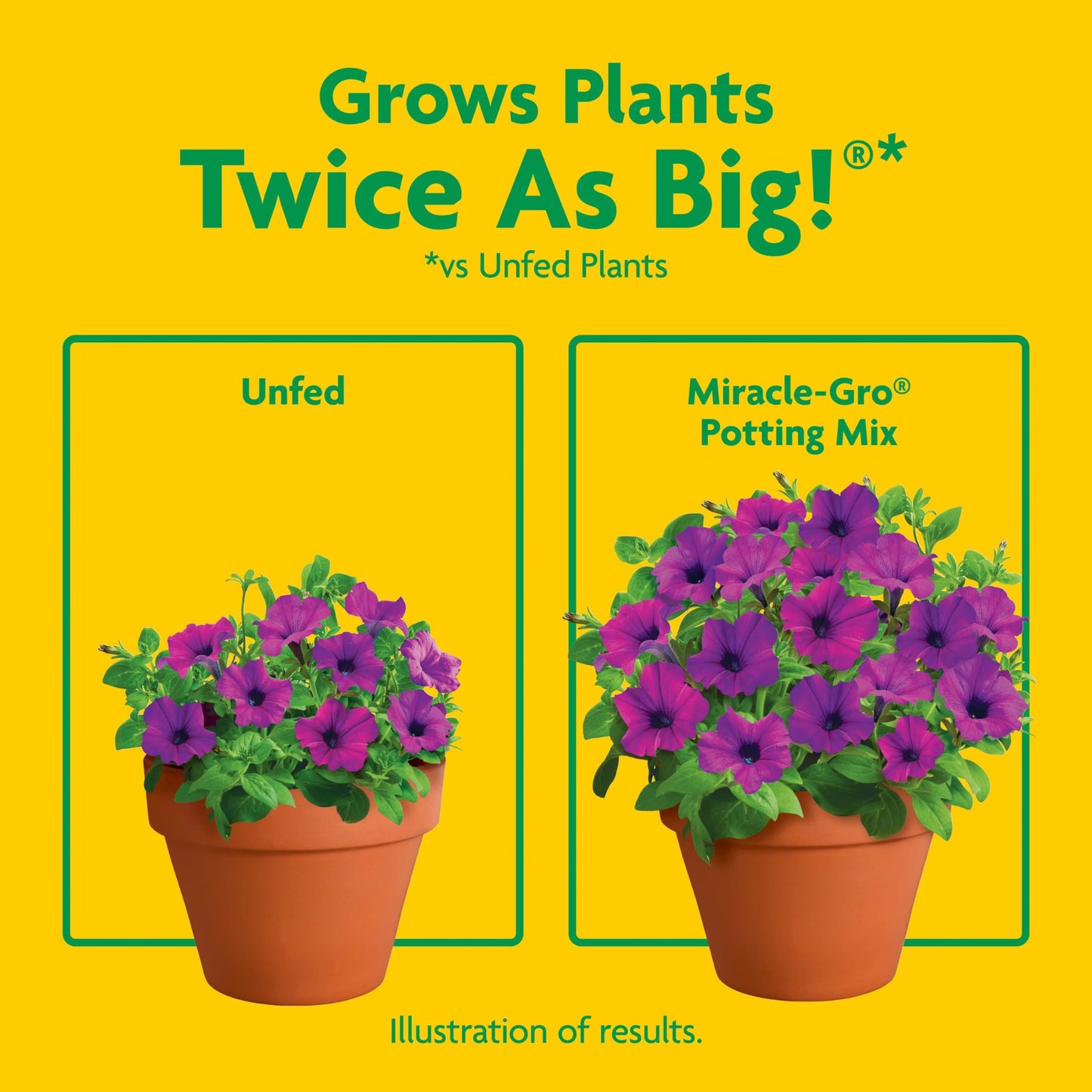 Miracle-Gro Potting Mix, For Container Plants, Flowers, Vegetables, Annuals, Perennials, Shrubs, Feeds for up to 6 Months, 16. qt., 2-Pack