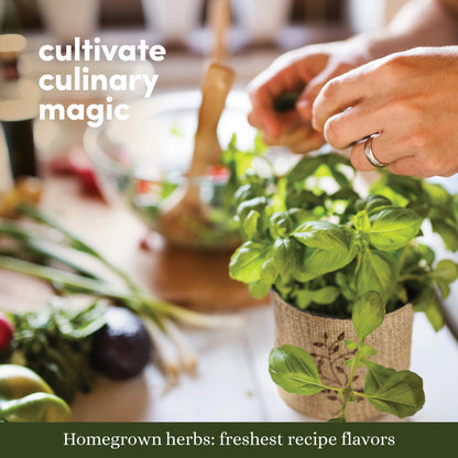 Planters' Choice 9 Herb Indoor Window Garden Kit - House Plants Seeds - Best Unique Gift Ideas for Women, Mom, Friend, Her, Birthday, Housewarming, Mother - New Home Kitchen Gifts - Live Plant Starter