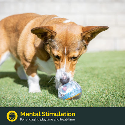 Pet Zone IQ Treat Ball Interactive Dog Ball - 3" Puzzle Treat Dispenser, Durable, Slow Feeder, for All Dog Breeds, Toys to Keep The Busy and Enrichment