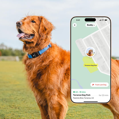 Fi New Series 3+ Smart Dog Tracker Collar – AI GPS for Dogs, Health & Behavior Monitor, Virtual Fence, Escape Alerts, Waterproof, Apple Watch Compatible 12Mo Membership Included