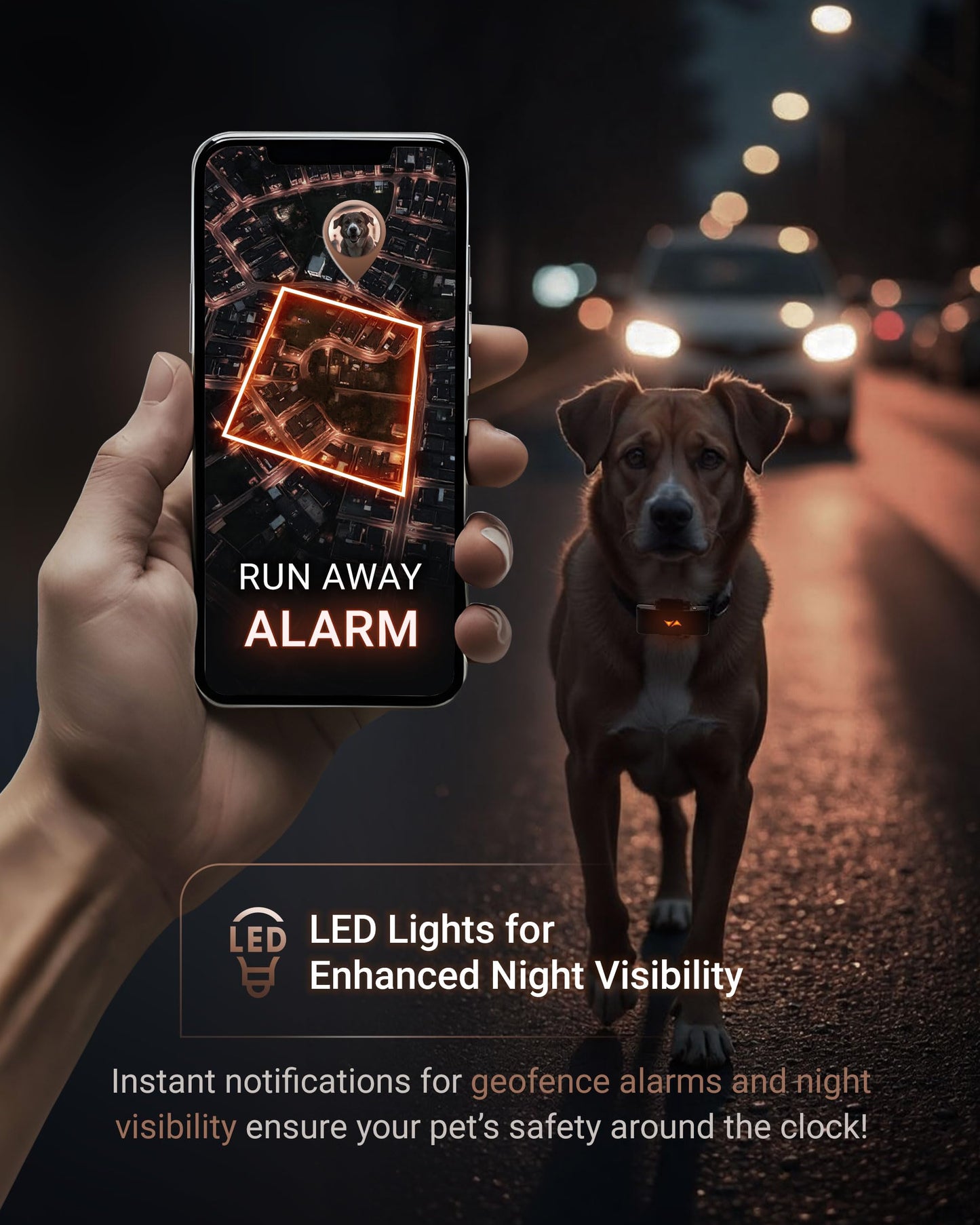 PAJ GPS Dog Tracker - 4G Real-Time Tracking & Runaway Alerts - Waterproof, Long-Range, Smart App Monitor Health & Activity - Fits Any Collar, Mini Device Navigator Chip - Subscription Required - Black