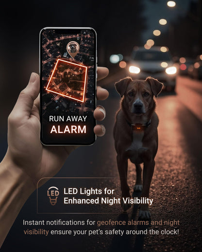 PAJ GPS Dog Tracker - 4G Real-Time Tracking & Runaway Alerts - Waterproof, Long-Range, Smart App Monitor Health & Activity - Fits Any Collar, Mini Device Navigator Chip - Subscription Required - Black