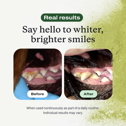 PetLab Co. ProBright Dental Powder - Dog Breath Freshener - Teeth Cleaning Made Easy – Targets Tartar & Bad Breath - Formulated for Small Dogs - Packaging May Vary