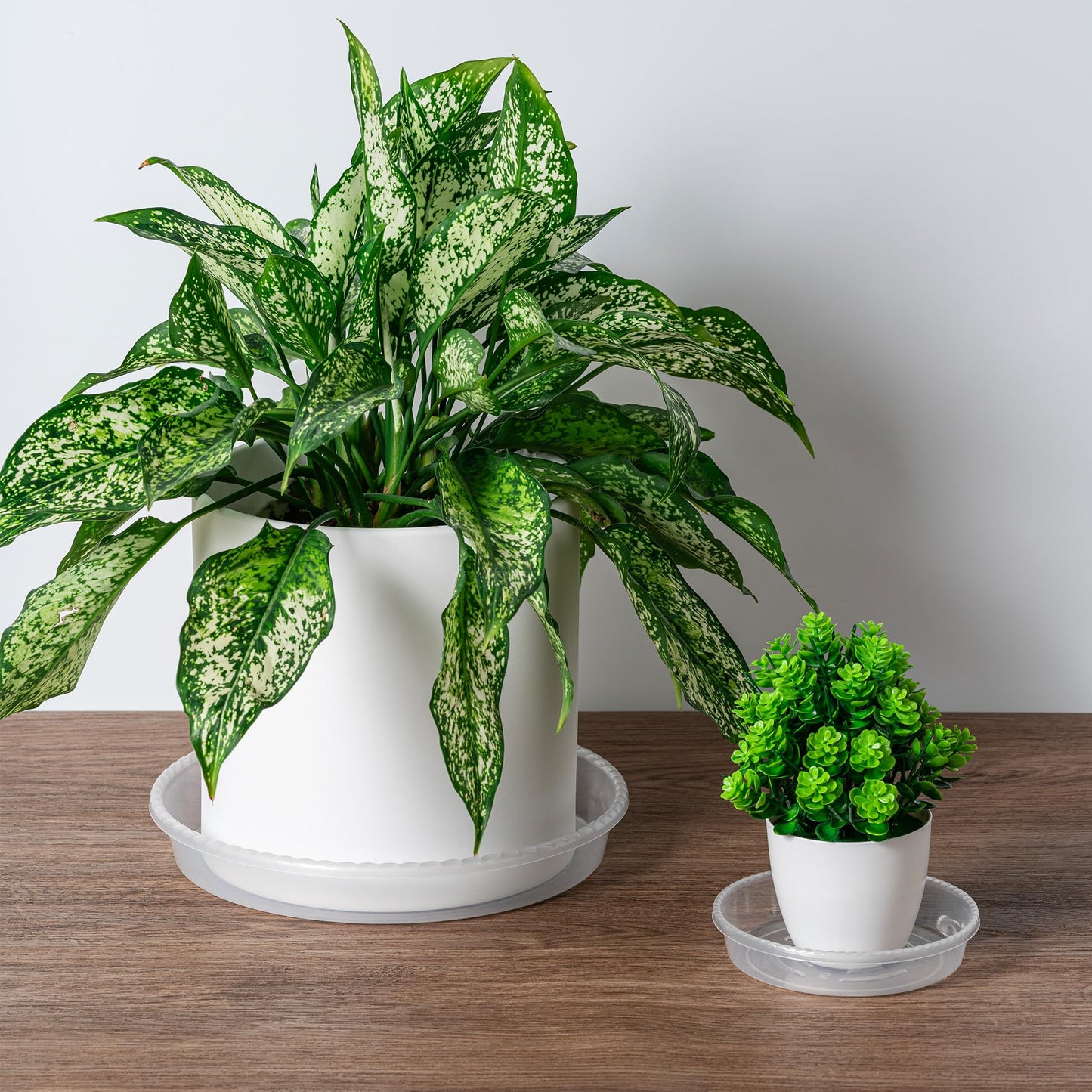 Plant Saucer Tray - 6 Pack 10 Inch Plastic Plant Trays for Pots with Plant Tray Design - Clear Plant Saucers for Outdoors and Indoors Use - Plant Pot Saucers for Potted Plants - Plant Drip Trays