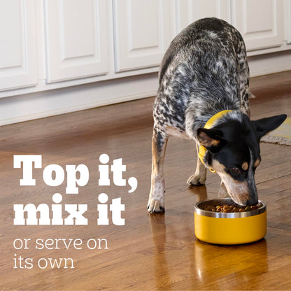 Pedigree Chopped Ground Dinner Adult Canned Soft Wet Dog Food Beef Flavor, 22 oz. Cans (12 Count, Pack of 1)