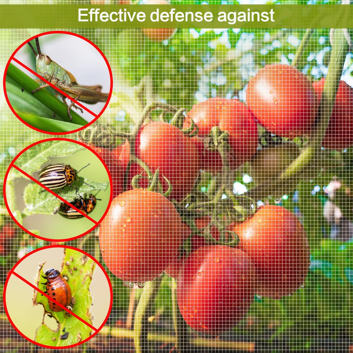 2 Pack 6.5x10ft Garden Netting - Ultra Fine Mesh Plant Covers to Keep Small Animals Pest Out, Bird Barrier Screen for Protecting Vegetables Fruits Flowers Raised Beds (Without Support Pole)