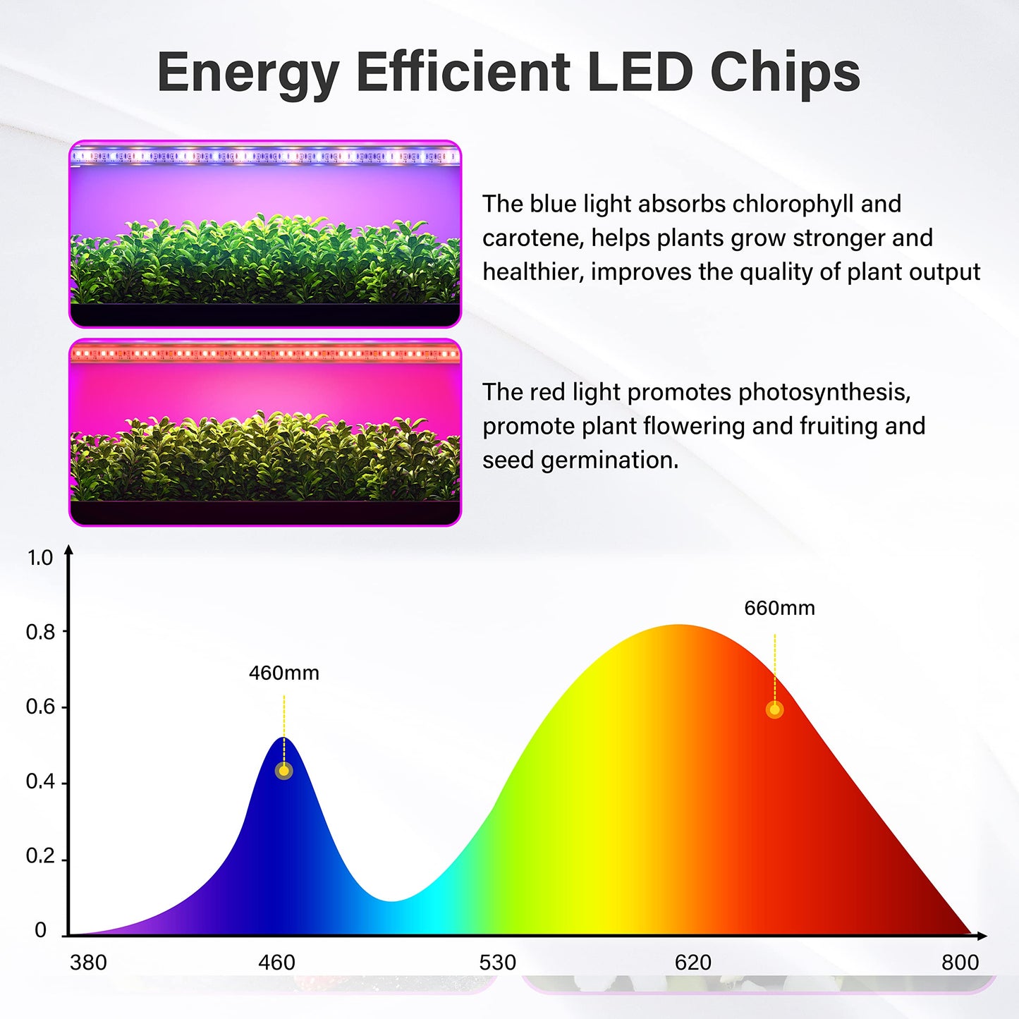 iPower LED Grow Light Strips Full Spectrum for Indoor Plants with Auto ON/Off 3/9/12H Timer, 10 Dimmable Levels 48 LEDs Per Tube, Sunlike Grow Lamp for Hydroponics Succulent, 1 Pack, Red&Blue, 4 Tubes