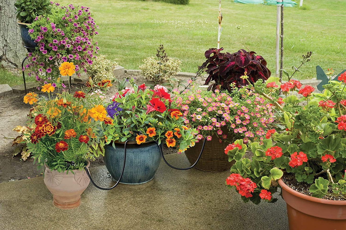 Raindrip R560DP Automatic Drip Irrigation Watering Kit with Customizable Timer for Containers and Hanging Baskets, Waters up to 20 Plants, Includes 20 PC Drippers, Black