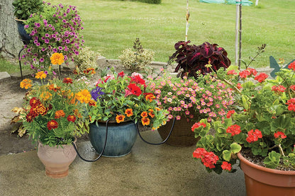 Raindrip R560DP Automatic Drip Irrigation Watering Kit with Customizable Timer for Containers and Hanging Baskets, Waters up to 20 Plants, Includes 20 PC Drippers, Black