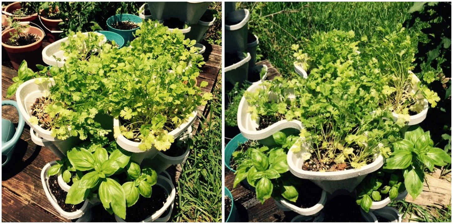 3 Tier Stackable Garden,Indoor,Outdoor Vertical Planter Set,Self Watering Tiers From Top Down,Smart Planting Pots,Used for Strawberries Herbs Peppers Flowers and Succulents (Stone)