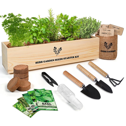 Meekear 5 Herb Seeds Garden Starter Kit with Complete Planting Kit & Wooden Flower Box, Growing into Basil, Parsley, Rosemary, Thyme, Mint for Kitchen Windowsill Herb Garden DIY