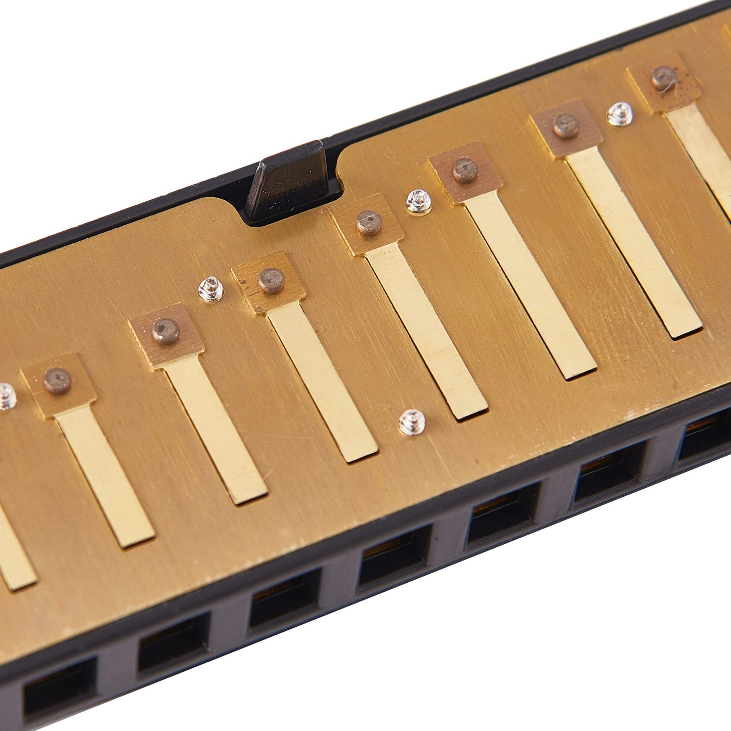 Harmonica 10 Holes 20 Tunes Mouth Organ Blues Deluxe Harmonica, Key of C for Beginner, Adults, Kids Gift, Black