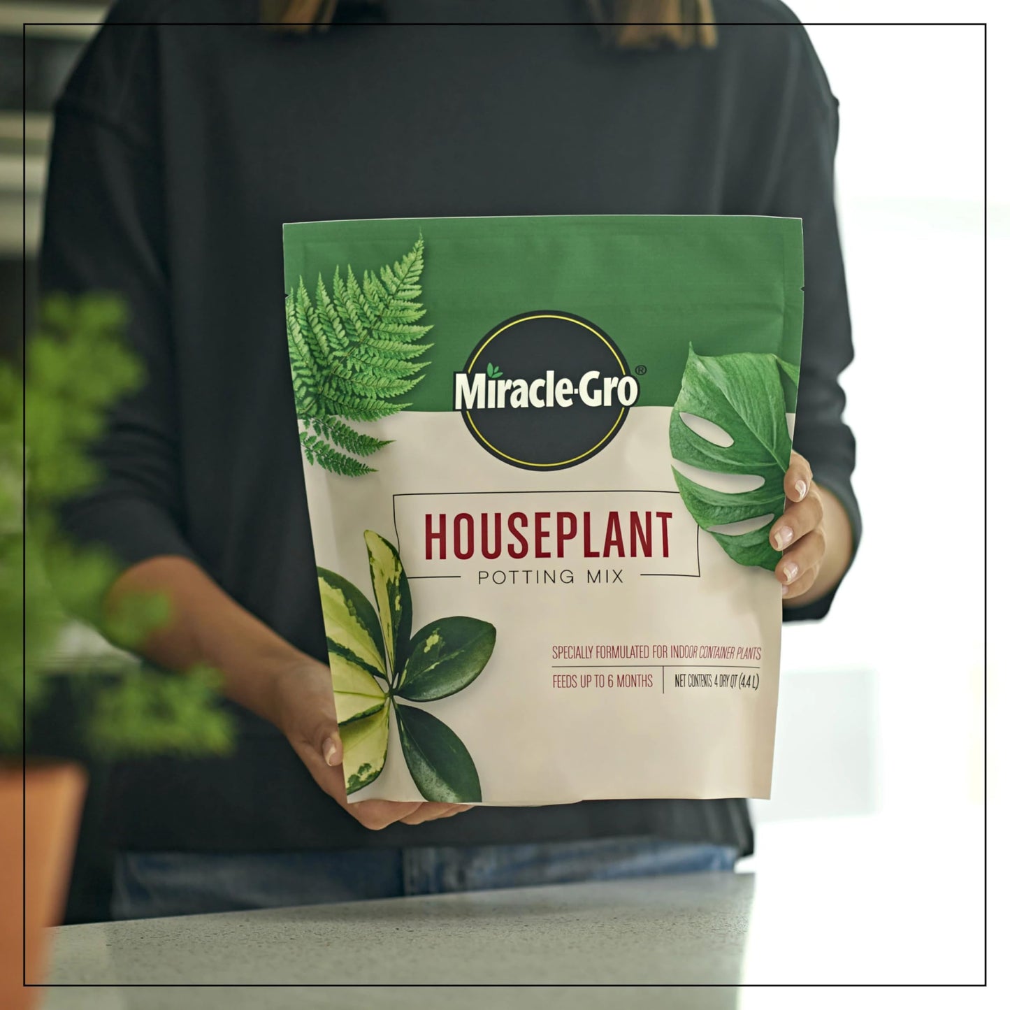Miracle-Gro Houseplant Potting Mix: Fertilized, Perlite Soil for Indoor Gardening, Designed to Be Less Prone to Gnats, 4 qt.