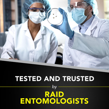 Raid Wasp & Hornet Killer Spray, Bug Killer Kills the Entire Nest, 14 Oz, 2 Count