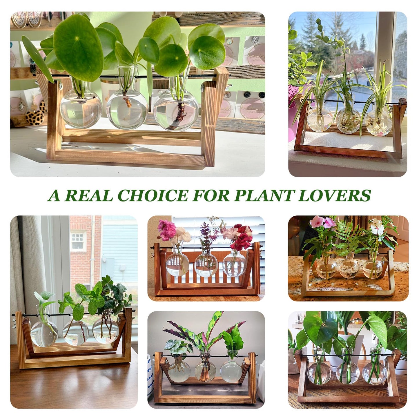 Renmxj Plant Propagation Station, Plant Terrarium with Wooden Stand, Unique Gardening Birthday Gifts for Women Plants Lovers, Home Office Garden Decor Planter - 3 Bulb Glass Vases
