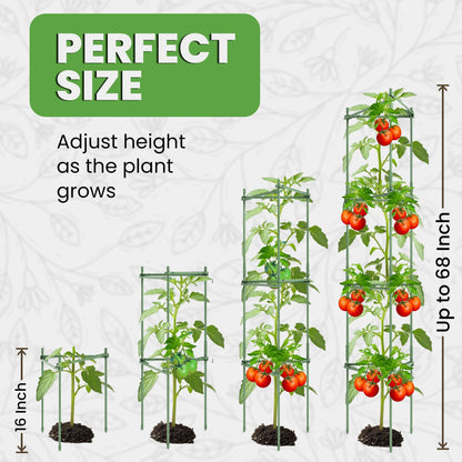 68" Tomato Cage - Trellis Stakes and Plant Support Structures for Vegetables and Climbing Plants - Tall Tomato Cages for Garden, Pots, Raised Garden Bed Outdoor (6 Pack - Extra Tall)