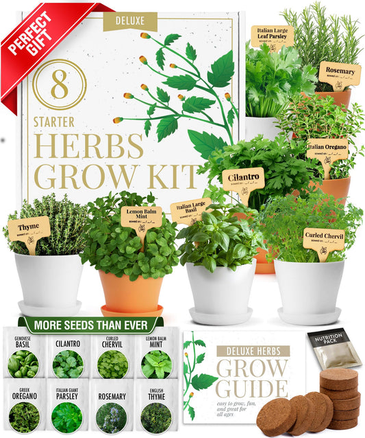 HOME GROWN 𝗣𝗥𝗘𝗠𝗜𝗨𝗠 𝗛𝗘𝗥𝗕 𝗞𝗜𝗧 8 Herb Seeds Garden Kit, Complete Indoor Planter Gift with Basil Cilantro Mint & More, Unique Kitchen Growing Set for Women Men, Birthday Housewarming Present