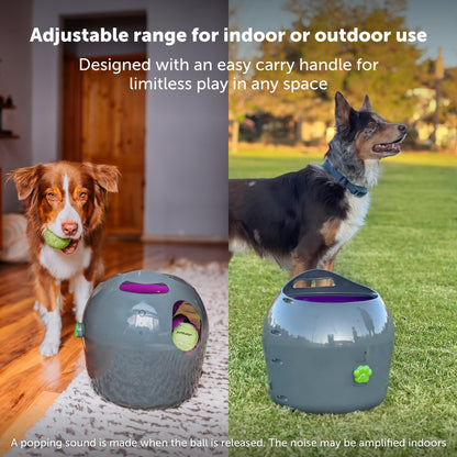 PetSafe Automatic Ball Launcher - Interactive Fetch Game - Hands-Free Fetch Training - Adjustable Range - Includes Tennis Balls - Indoor Outdoor Play - Motion Sensors - Automatic Sleep Mode