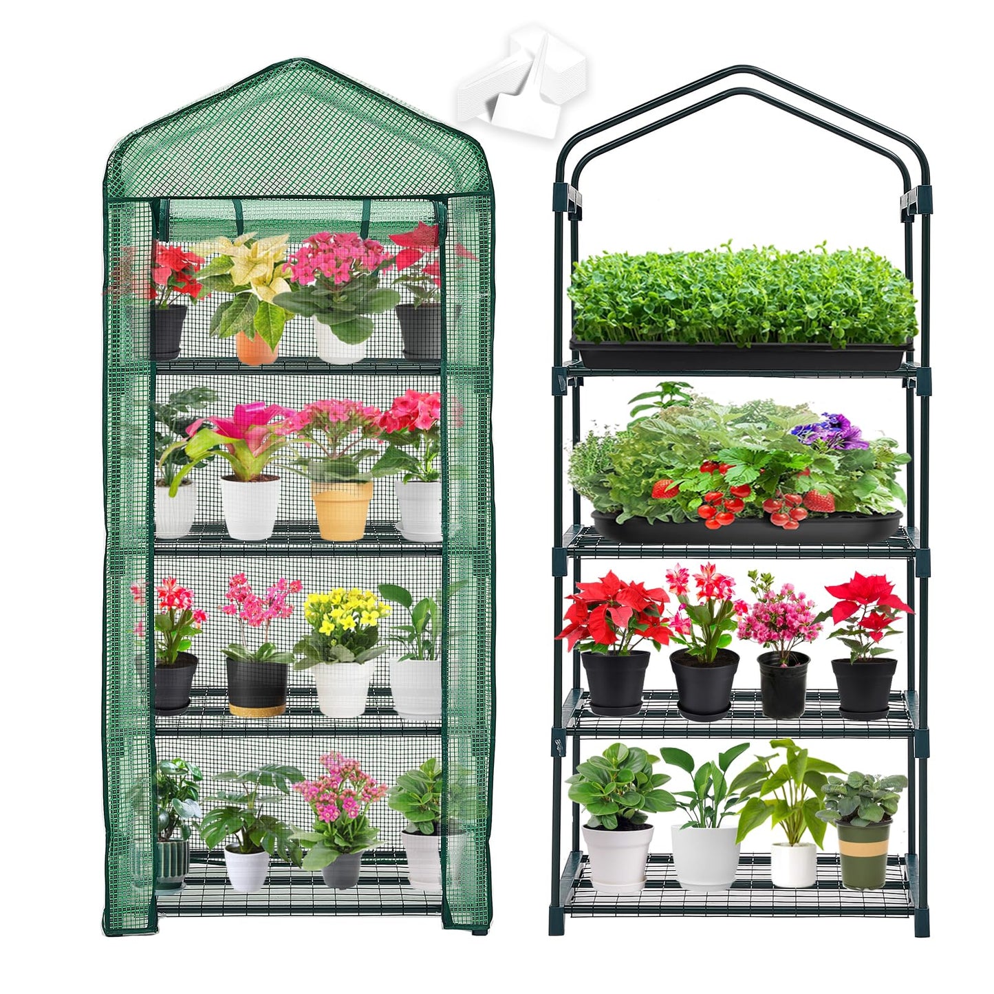 Purlyu Mini Greenhouse for Indoor Outdoor,Plant Green House 4-Tier Rack Stand Portable Greenhouses with Durable PE Cover for Seedling, 2.5x1.6x5.2 FT Ideal Gardening Gifts for Women Men(PLGH704G)