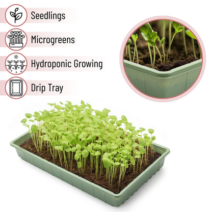 Mr. Pen-Plastic Growing Trays, 5 Pack, Plant Tray, Seed Tray, Propagation Tray