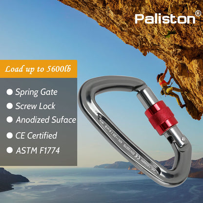 Locking Carabiner - 25kN 5600lb Climbing Carabiner Screw Gate D Shape Carabiner Silver (Pack of 5)