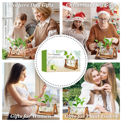 Renmxj Plant Propagation Station, Plant Terrarium with Wooden Stand, Unique Gardening Birthday Gifts for Women Plants Lovers, Home Office Garden Decor Planter - 3 Bulb Glass Vases