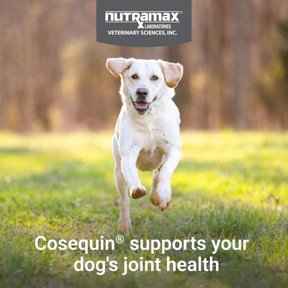 Nutramax Cosequin for Dogs Joint Health Supplement, Contains Glucosamine, Plus Chondroitin, MSM and Omega-3s, Supports Joint and Skin and Coat Health, Soft Chews, 120 Count