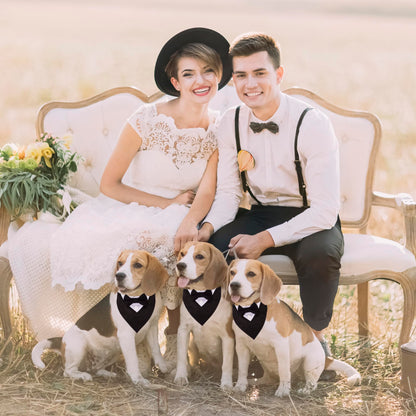 ADOGGYGO Formal Dog Tuxedo, Wedding Dog Collar with Bow Tie, Adjustable Pet Wedding Collar Bandana for Small Medium Large Dogs (Small, Black)