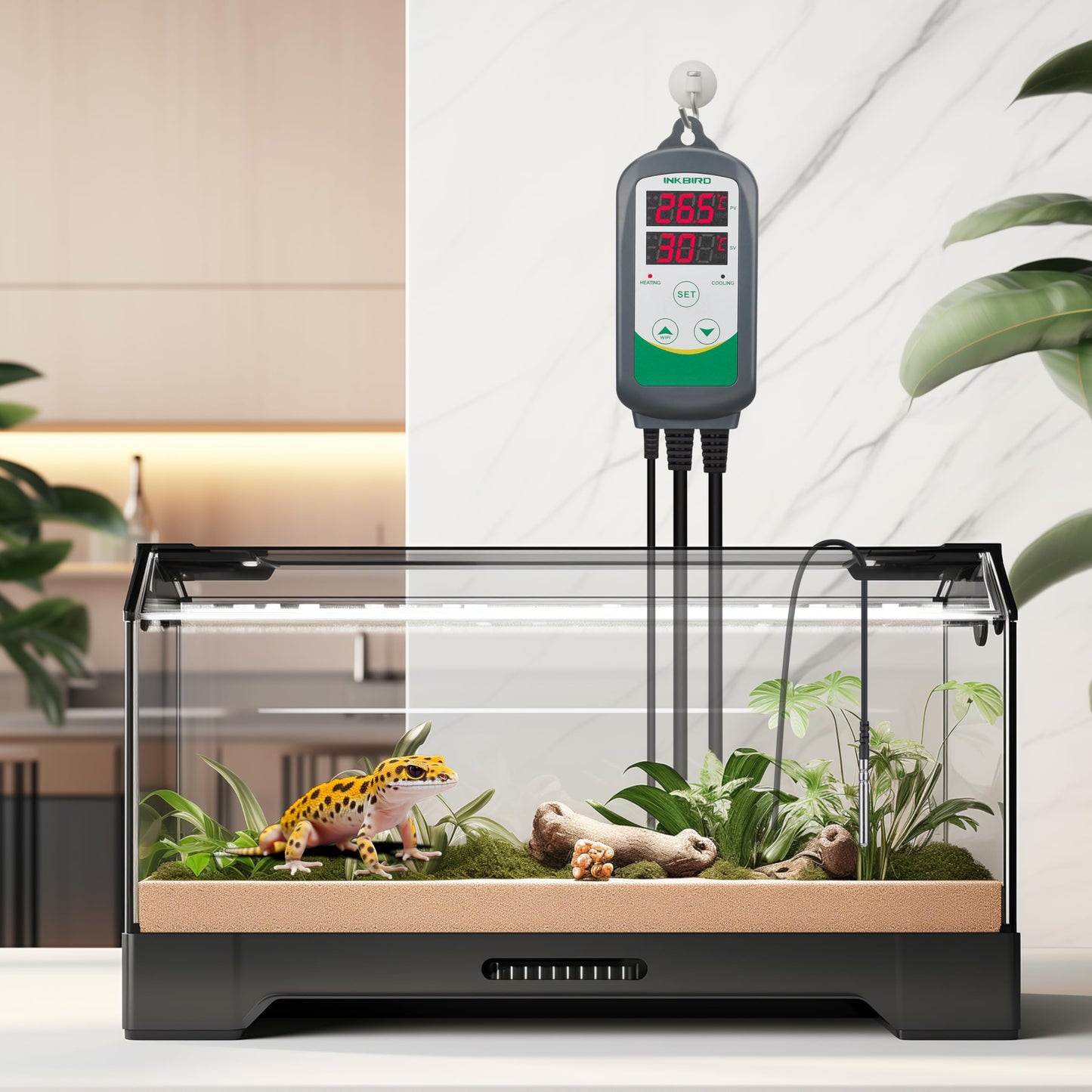 Inkbird ITC-308 Digital Temperature Controller 2-Stage Outlet Thermostat Heating and Cooling Mode Carboy Homebrew Fermenter Greenhouse Terrarium 110V 10A