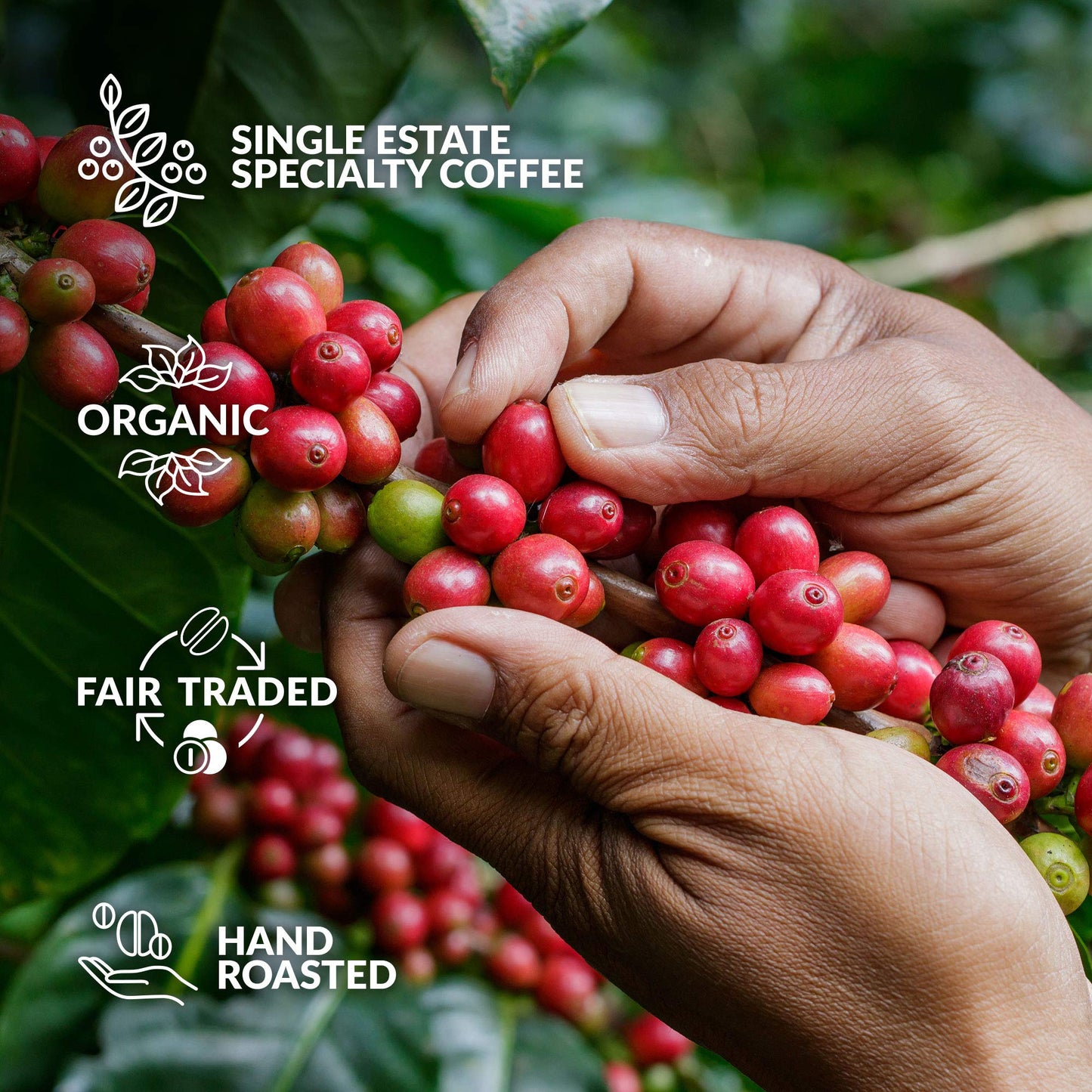 Original Gourmet Coffee Gift Set for Men & Women - 14 World's Finest Single Origin Specialty & Organic Coffees in Innovative Brewers | Sampler Box for Coffee Lover to Brew & Enjoy Anytime, Anywhere