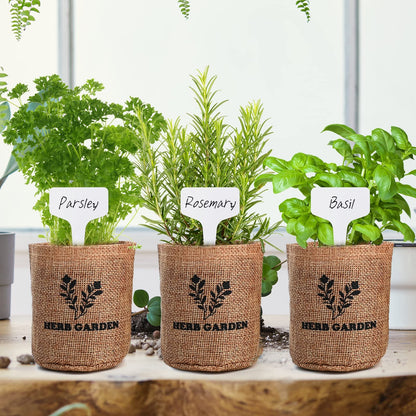 Meekear Indoor Herb Garden Starter Kit, 5 Non-GMO Herb Seeds - Basil, Parsley, Rosemary, Thyme, and Mint with Complete Planting Set for Kitchen Herb Garden DIY