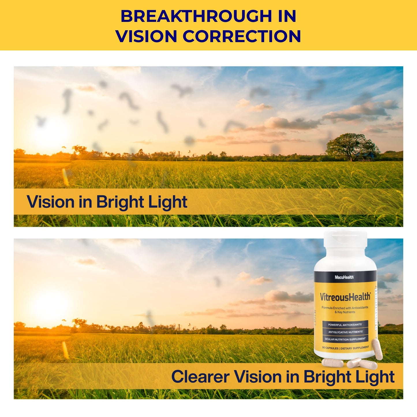 Macuhealth VitreousHealth Evidence-Based Eye Supplement - 90 Capsules