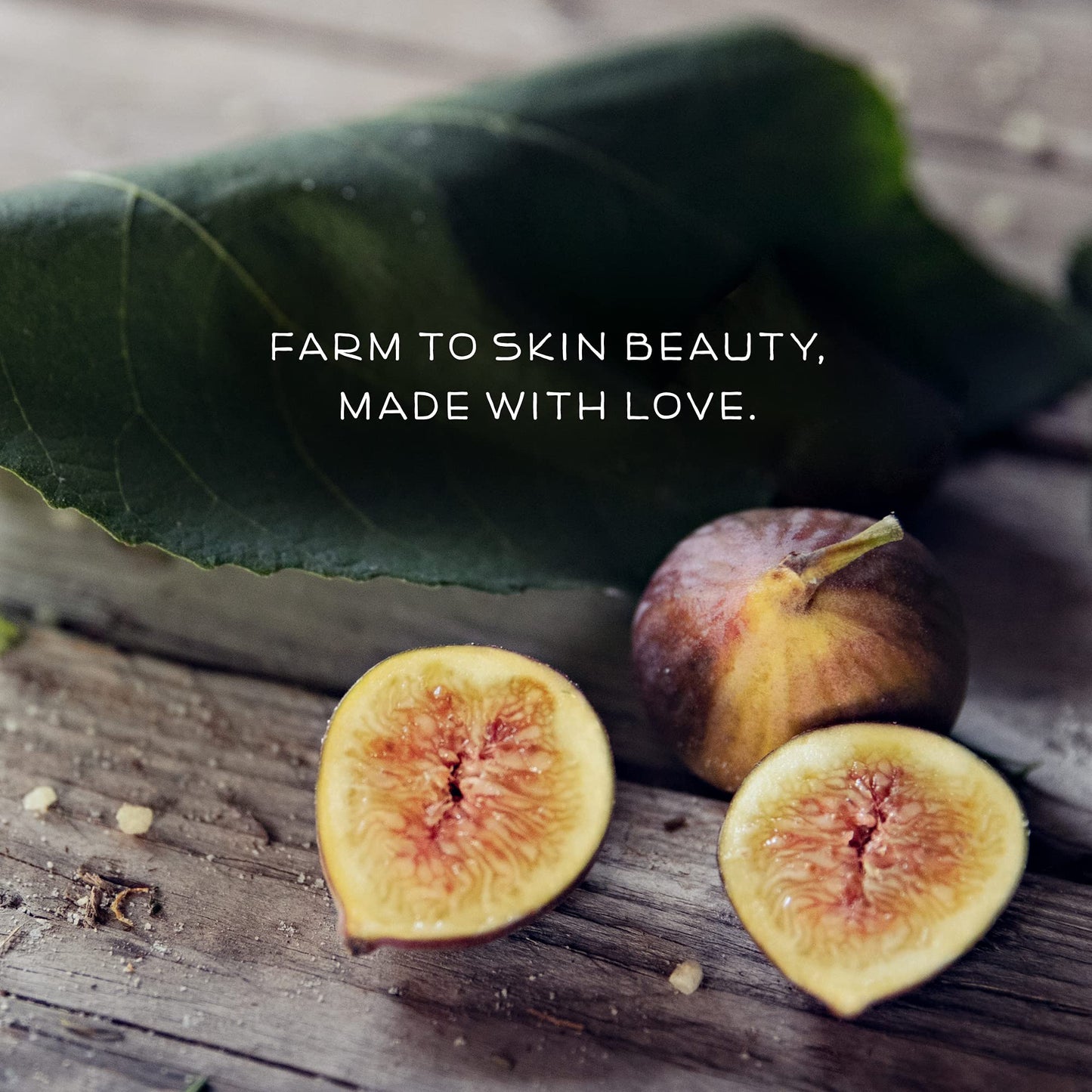 Farmstead Apothecary Lip Balm (Fig & Honey, 1 Pack)