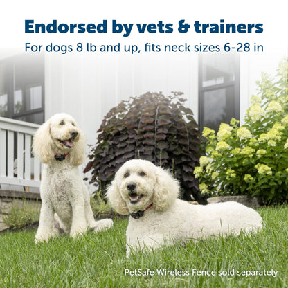 PetSafe Wireless Pet Containment System Receiver Collar - Battery-Operated & Waterproof - Adjustable Receiver Collar with 5 Correction Levels - for Dogs 5lb+