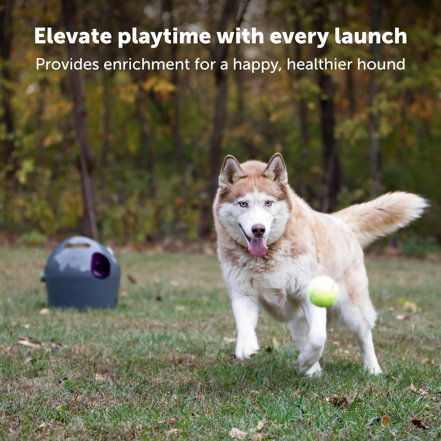 PetSafe Automatic Ball Launcher - Interactive Fetch Game - Hands-Free Fetch Training - Adjustable Range - Includes Tennis Balls - Indoor Outdoor Play - Motion Sensors - Automatic Sleep Mode