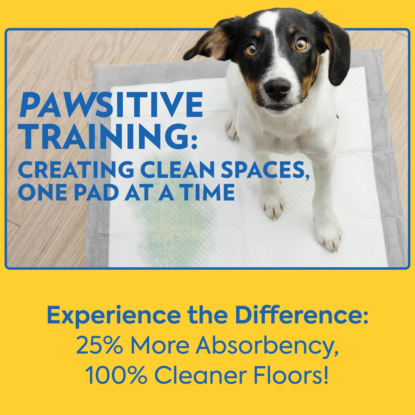 OUT! Petcare Puppy Pads XXL, Heavy Duty, Leak Proof Pee Pads for Dogs, Potty Training & Housebreaking, Puppy Essentials (26"x30", 30 Count)