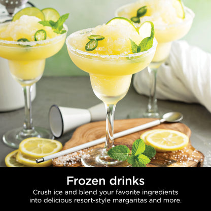 Ninja Professional Blender 1000W, Total Crushing Technology- Smoothies, Ice Crushing & Frozen Fruit, Full-Size Countertop Blender, 72-oz. Pitcher, Black & Grey, BL610