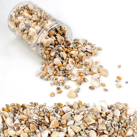1500 Pcs Small Shells For Crafts,Small Sea Shells For Crafting,Mini Seashells Bulk for Decorating,Assorted Tiny Seashells For Resin,Home Decorations, Beach Theme Party, Candle Making, Wedding Decor