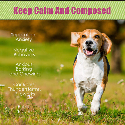 Moropaky Hearbeat Toy for Dog Anxiety Relief Behavioral Training Aid Toy, Grey