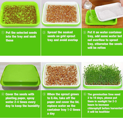 Legigo 5 Pack Seed Sprouter Trays with Lids- Soil-Free Cultivation Germination Tray, BPA Free Micro Greens Growing Trays Seed Sprouting Trays Kit with Germinating Paper for Wheatgrass, Beans and More