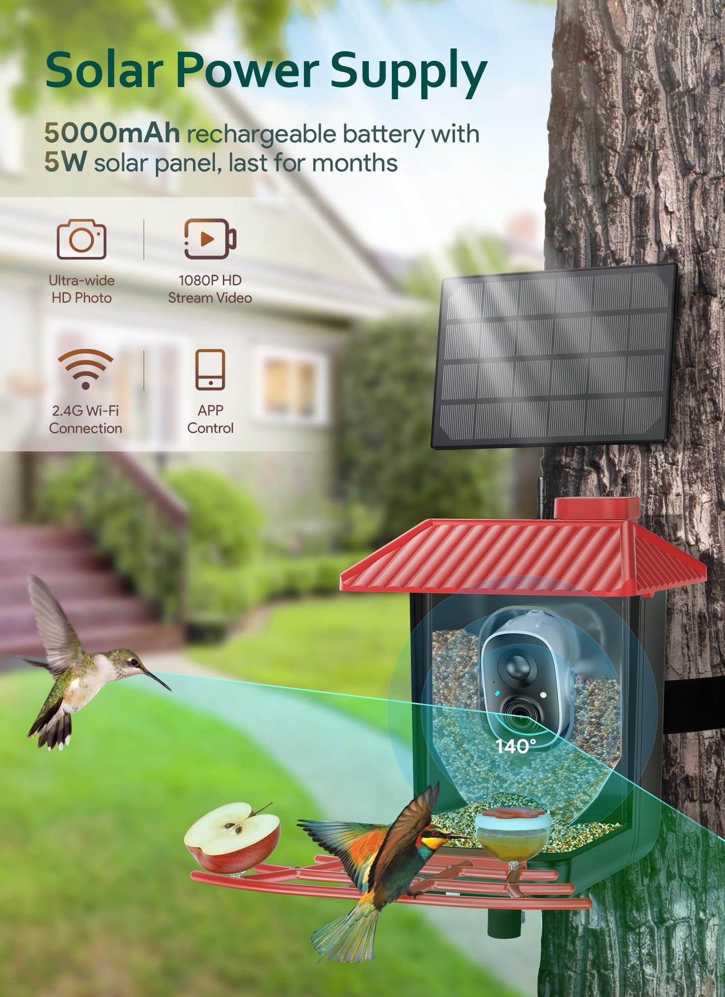 Osoeri Bird Feeder with Camera, Smart AI Identify Wild Bird Feeders Camera, 1080P Auto Capture Bird's Video & Motion Detection, with DIY Add-ons & Hummingbird Feeder, Gifts for Bird Lover (Red Black)