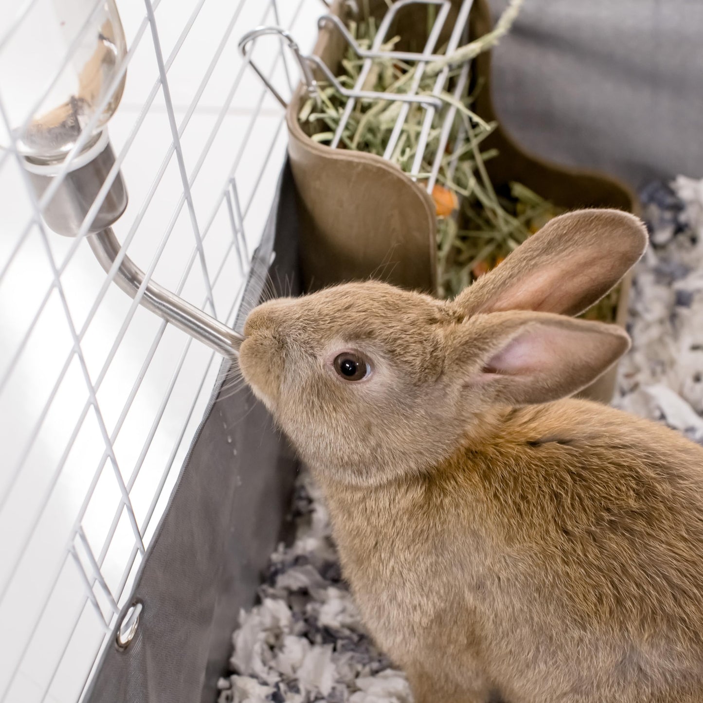 Kaytee Chew-Proof Water Bottle for Pet Ferrets and Rabbits, 26 oz